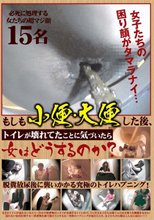 もしも小便・大便した後、トイレが壊れてたことに気づいたら女はどうするのか？