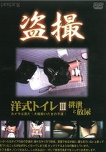 盗撮　洋式トイレ3　排泄と放尿