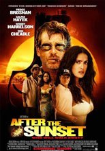 鬼膽神偷 After Sunset