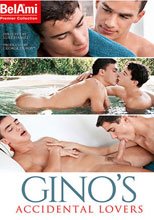 Gino's Accidental Lovers