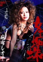 女王蜘蛛