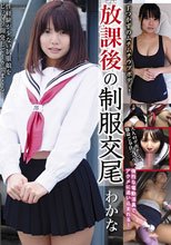 放課後の制服交尾（LAIM-040）
