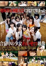 地域男女相撲大会に向けて集まった合宿中の少女わいせつ映像