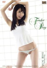 小久保マリア／Tender Prey