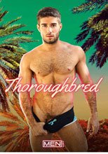Thoroughbred