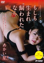 もしも生まれ‘飼われた’なら あかい星