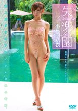 小日向結衣／失楽園