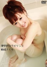 柿崎さくら／理想的なラビリンス