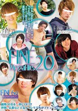 Fine Mega Hits 20