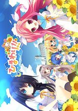 ひまわり!! -あなただけを見つめてる-