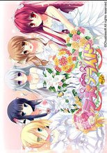 ラブらブライド