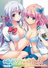 お前のパンツは何色だ!?