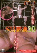 SM調教 30