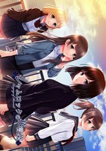 シャムロックの花言葉