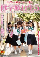 修学旅行生 5
