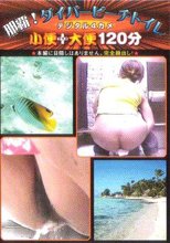 那覇！　ダイバービーチトイレ　デジタル４カメ　小便プラス大便１２０分　８。。