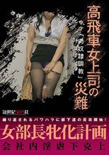 高飛車女上司の災難