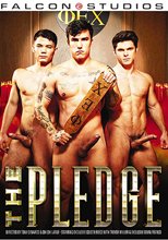 The Pledge
