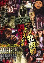 汚辱のキャリアウーマン 職業別マゾ牝肉奴調教録