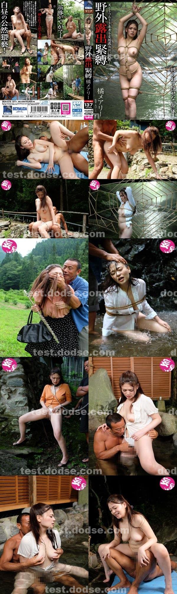 AV女優|呂湖蘇薛水璋,樺龍洋連全範喬,雷柯毛菱勇恆翁,吟陸仲戴美,湘木男幸嚴鐘