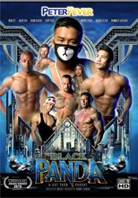 THE BLACK PANDA