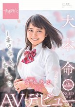 1番可愛くて1番えっち 春風（はるかぜ）あゆ 19歳 1本限定出演 SOD独占AVデビュー 春風あゆ