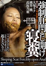 強制肛門こじ開け寝糞