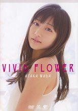 VIVID FLOWER  和田彩花