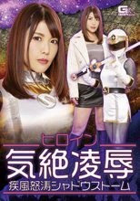 ヒロイン気絶凌辱 疾風怒濤シャドウストーム