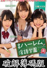 私立ハーレム淫語学園 波多野結衣 佳苗るか 大槻ひびき (破解薄碼版)