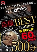 盗撮 プライベート流出500分 BEST File.01