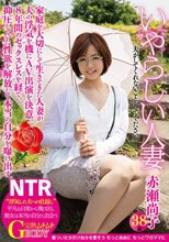 いやらしい人妻 赤瀬尚子