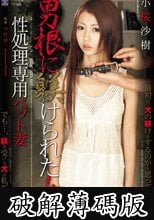 男根に躾けられた女　小桜沙樹　性処理専用ペット妻 (破解薄碼版)