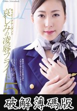 キャビン・アテンダント 哀しみの凌辱フライト5 (破解薄碼版)