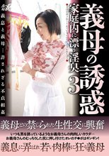 義母の誘惑～家庭内に漂う淫臭3