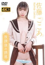 佐藤ここあ／放課後の誘惑 佐藤ここあ