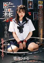 監禁～男の性奴○になった私～ 皆月ひかる