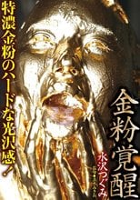 金粉覚醒 水沢つぐみ