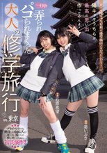 どうせ陰キャなお前ら修学旅行くそだったんだろ？ 陽キャなうちらが最高の思い出作ってやんよ！一日中弄られパコられまくった大人の修学旅行in東京 石原希望 葵いぶき