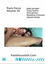 Trans Focus 19