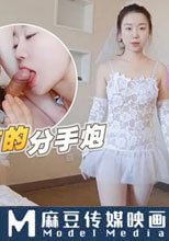 婚前的分手炮