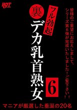 裏フル勃起デカ乳首熟女6 マニアが厳選した垂涎の20名