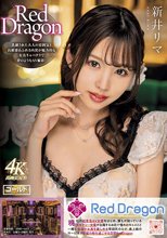 Red Dragon 新井リマ
