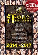 2014～2018 鉄板の真髄を見よ！汗だく性交 BEST OF BEST