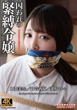 囚われの緊縛令嬢 DIDコレクション1
