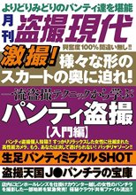激撮！様々な形状のスカートの奥に迫れ！一流盗撮テクニックから学ぶ
