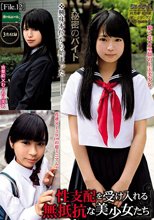 性支配を受け入れる無抵抗な美少女たち File.12