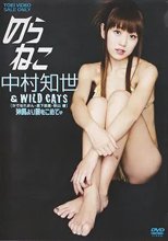 のらねこ 中村知世 ＆ WILD CATS 沖縄より愛をこめて