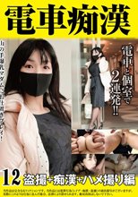 電車痴● 盗撮＋痴●ハメ撮り編12