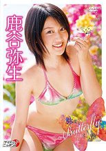 弥生とButterflyとあなた 鹿谷弥生